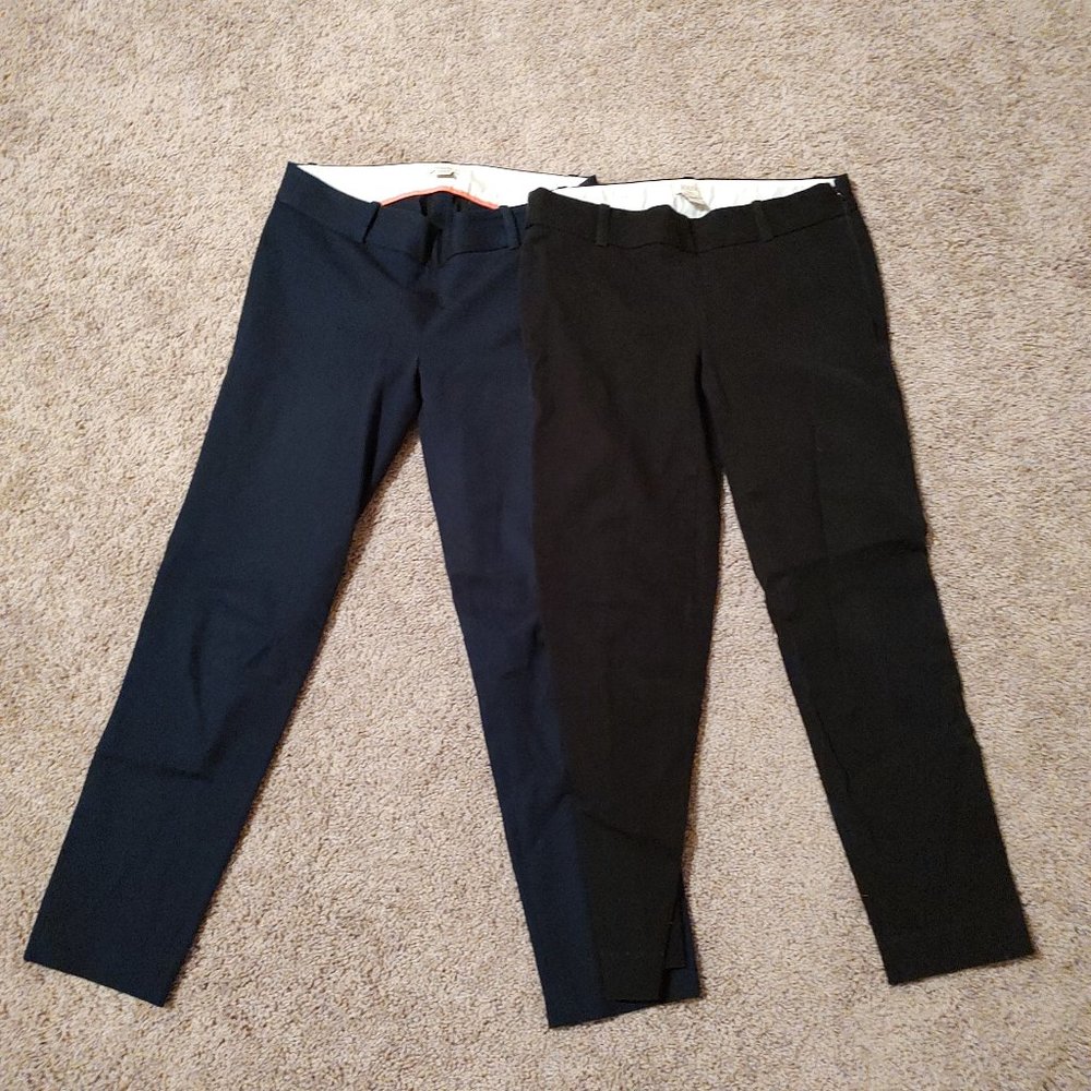 Jcrew factory side zip crop Winnie pants